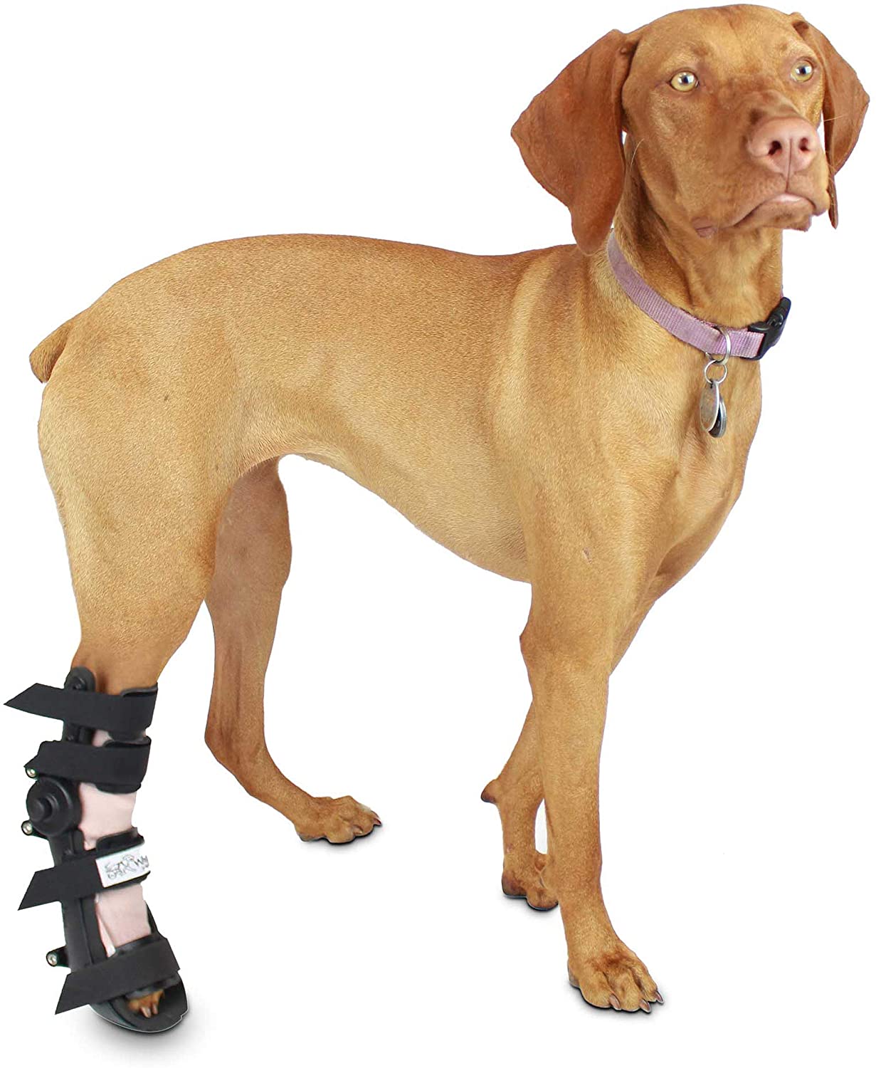 Canine Rear Leg Splint with Foam Inserts for a More Custom Fit Walkin Pet Splint for Dogs 