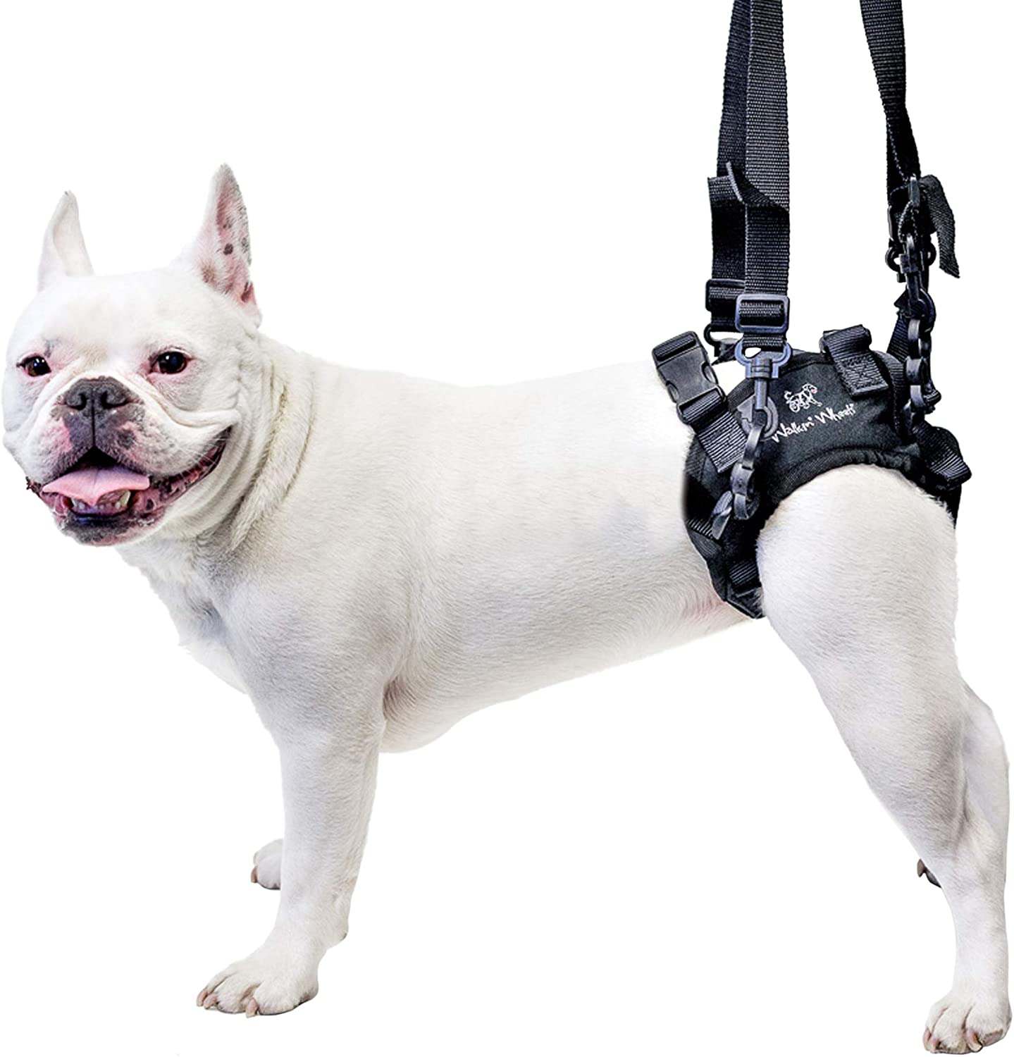 Help Dog Harness Pet Lift Support Rehabilitation Harness Injury Back Hip Carrier 