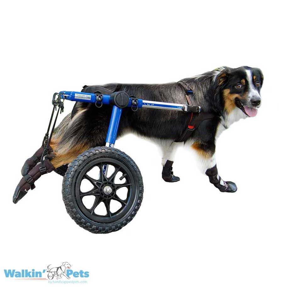 Walkin' Dog Boots  Set of 4 - Handicapped Pets Australia